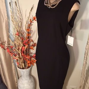 NWT Best Dress Ever! Size 10